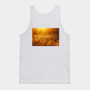 Meadow at the sunset Tank Top